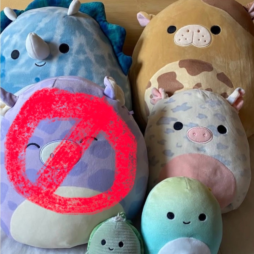 Cute and Rare Squishmallow Bundle